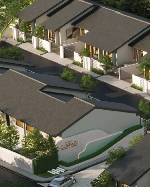 the asset curve sanctuary